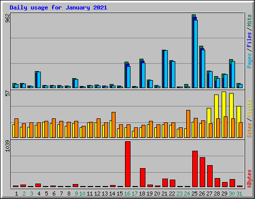 Daily usage for January 2021