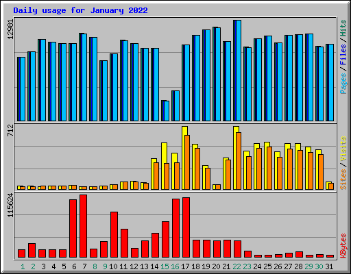 Daily usage for January 2022