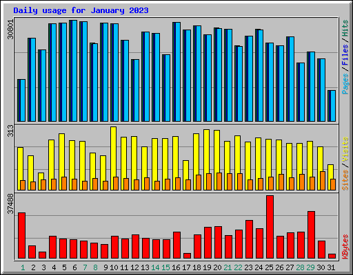 Daily usage for January 2023