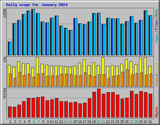 Daily usage for January 2024