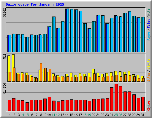Daily usage for January 2025