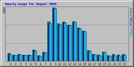 Hourly usage for August 2020