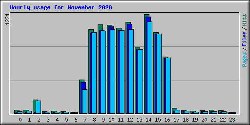 Hourly usage for November 2020