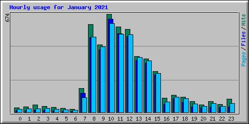 Hourly usage for January 2021