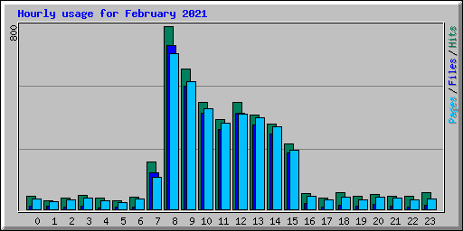 Hourly usage for February 2021