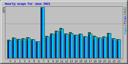 Hourly usage for June 2021