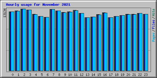 Hourly usage for November 2021