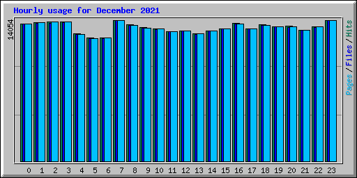 Hourly usage for December 2021