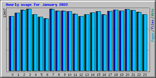 Hourly usage for January 2022