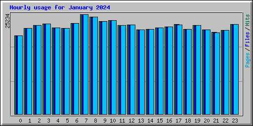 Hourly usage for January 2024