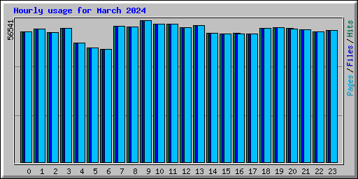 Hourly usage for March 2024