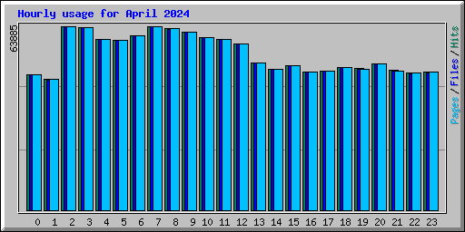Hourly usage for April 2024