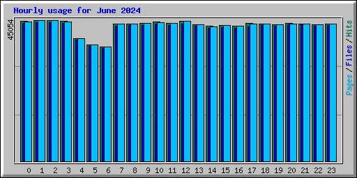 Hourly usage for June 2024