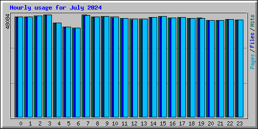 Hourly usage for July 2024