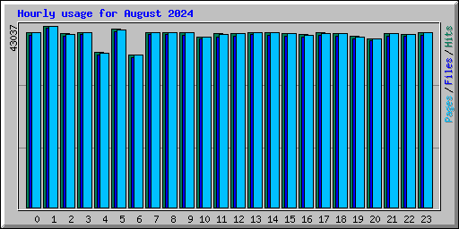 Hourly usage for August 2024