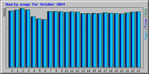 Hourly usage for October 2024