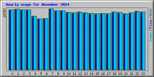 Hourly usage for November 2024