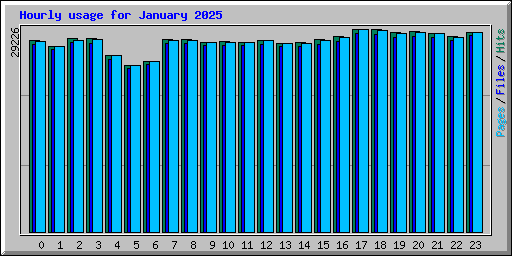 Hourly usage for January 2025