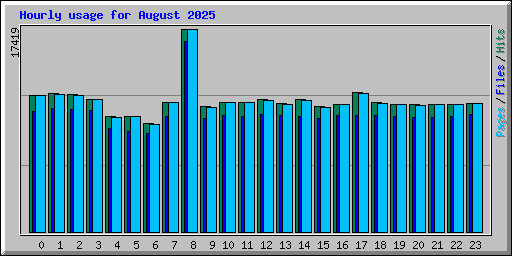 Hourly usage for August 2025
